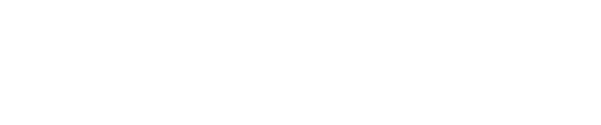 Orion Logo